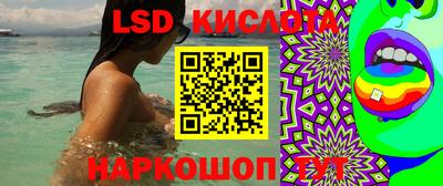 гашик Краснознаменск