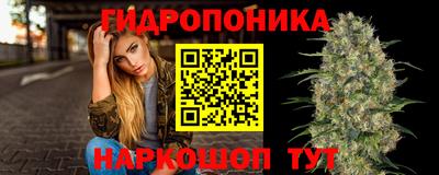 шишки Краснокаменск
