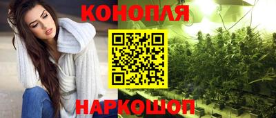 гашик Краснознаменск