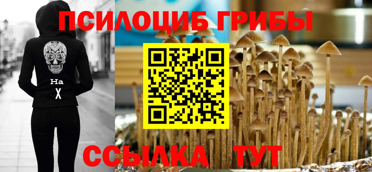 продажа наркотиков  Вход с VPN  Железноводск  Галлюциногенные грибы Psilocybine cubensis 