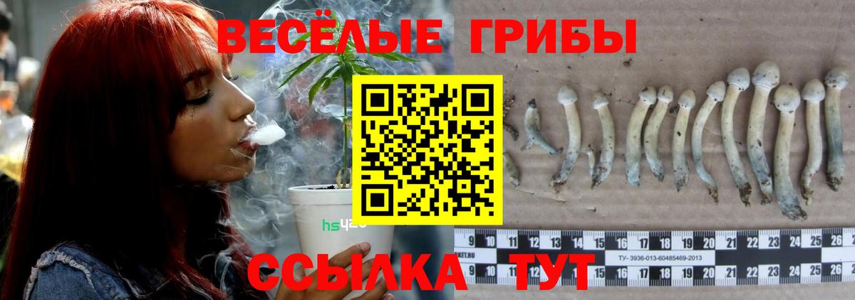 Псилоцибиновые грибы Psilocybine cubensis Железноводск